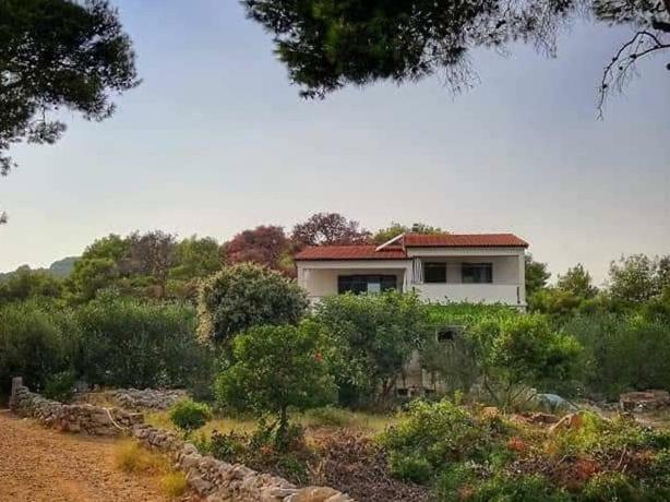 Apartmani Lina Veliki Drvenik Exterior foto